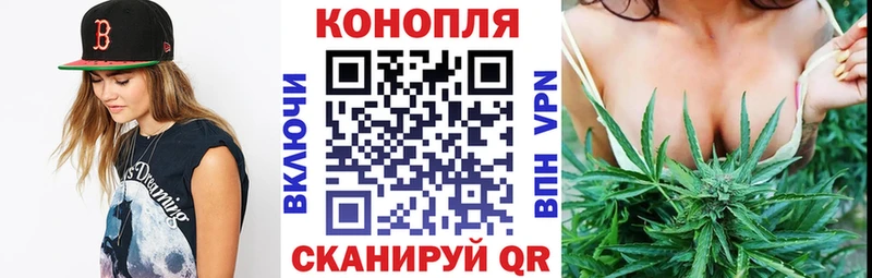 Бошки марихуана AK-47  Купить закладки  Вышний Волочёк 